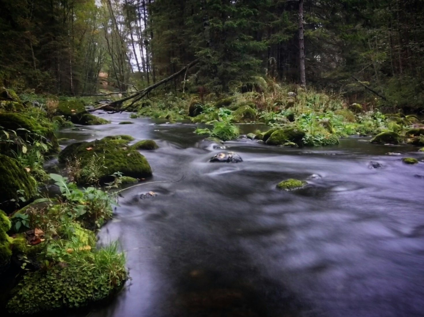 How Community Action Can Save Our Greenbelt