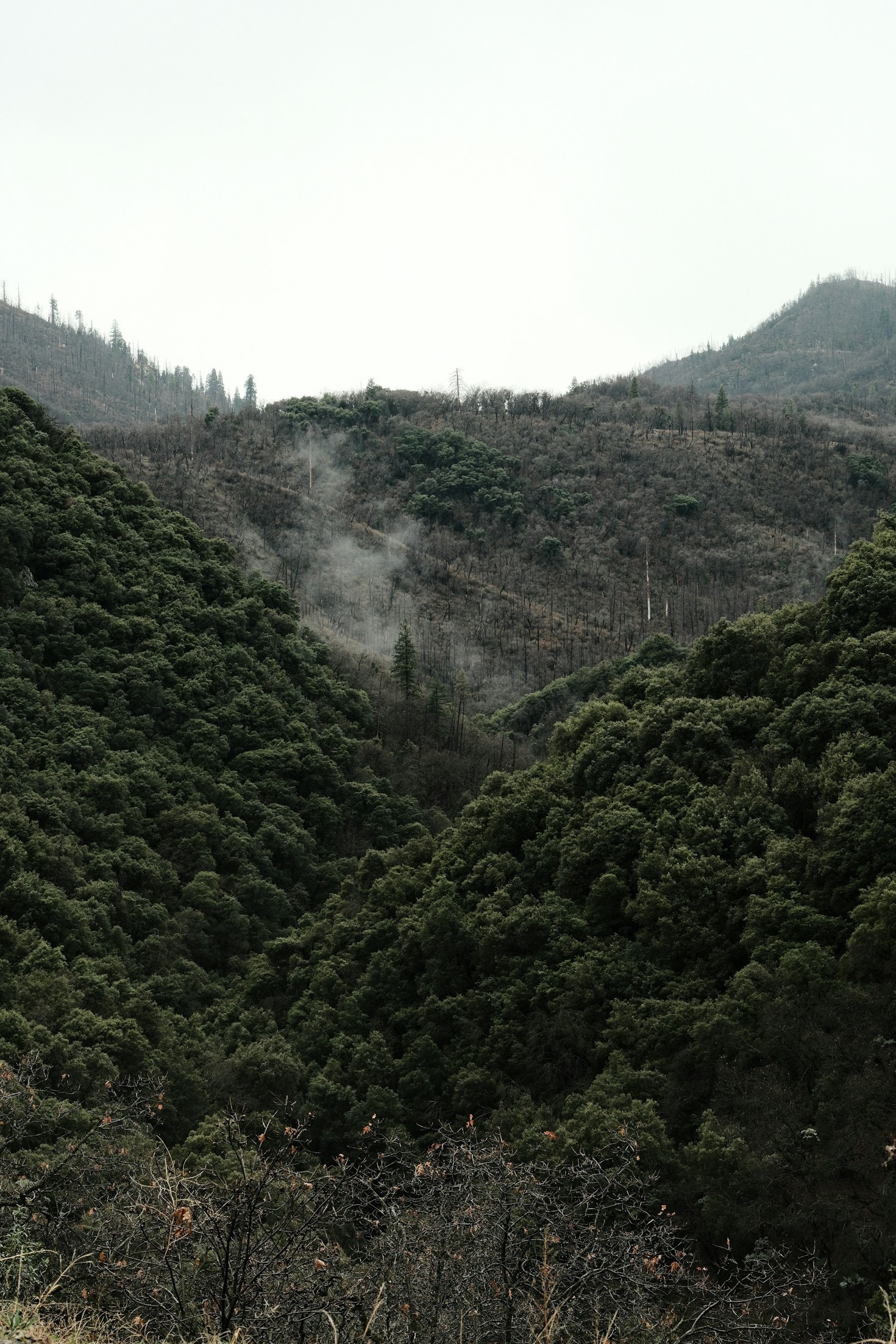 Understanding the Threats to Our Greenbelt