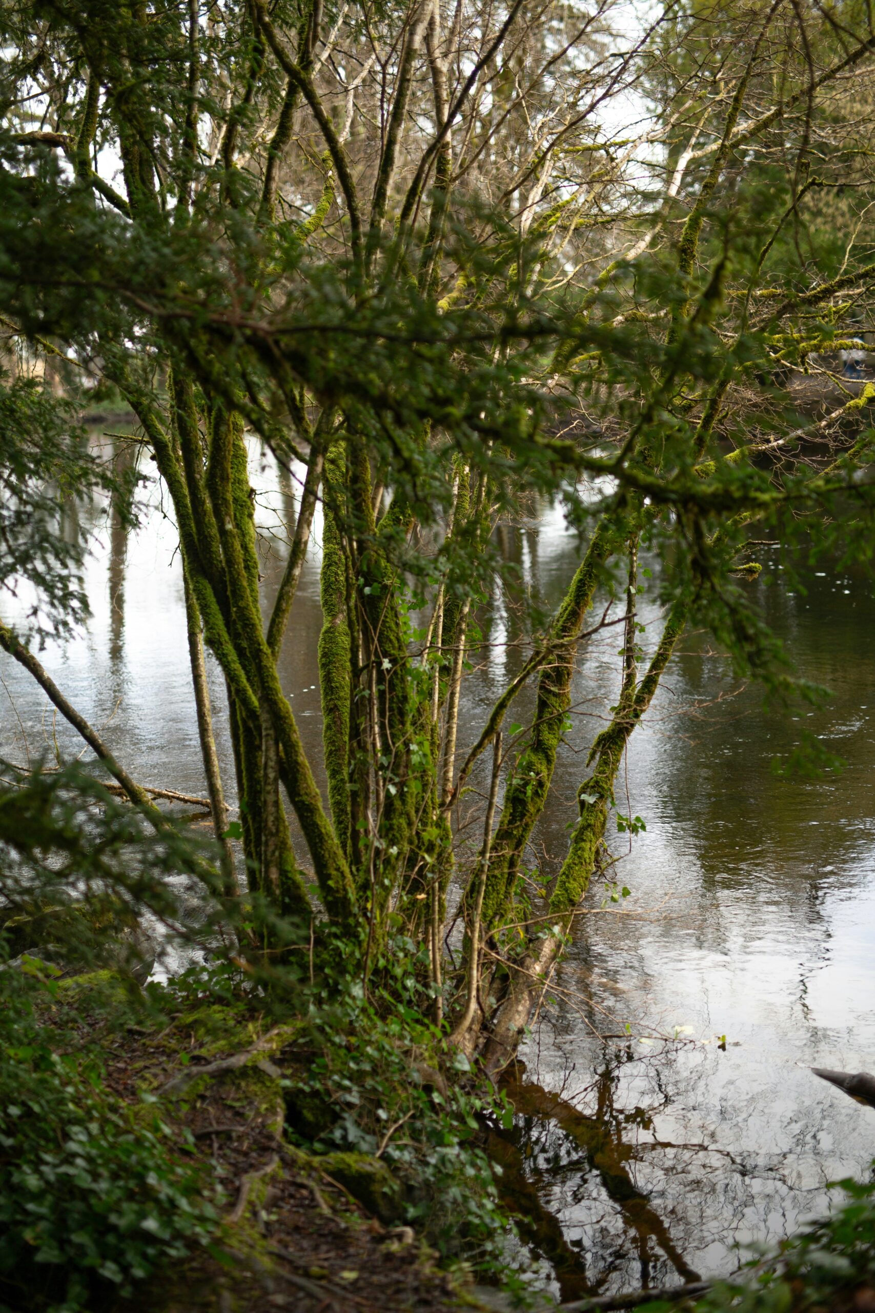 Hello World Featured Image